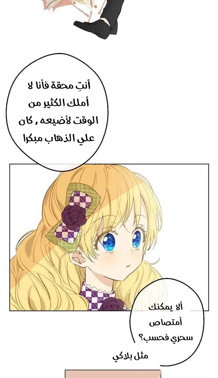 الصفحة 28 من 48