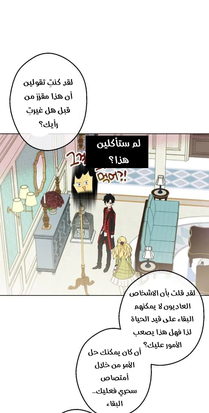 الصفحة 30 من 48