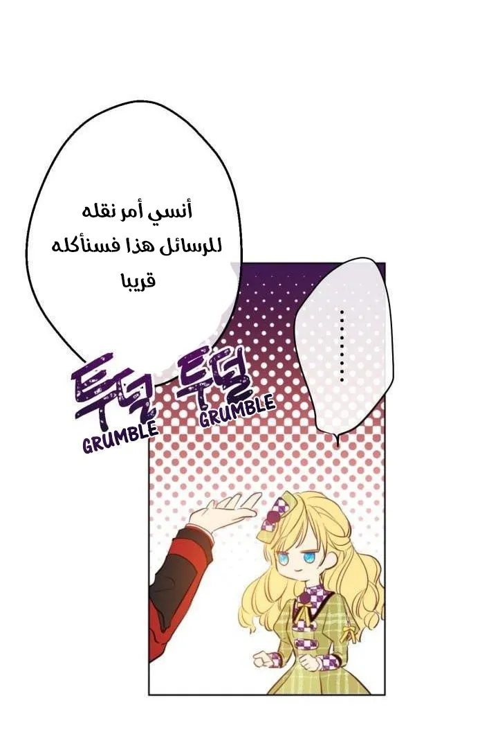 الصفحة 24 من 48