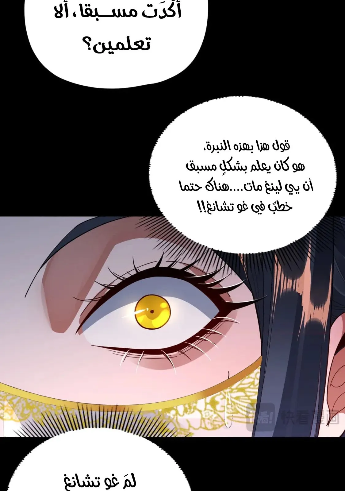 الصفحة 11 من 91