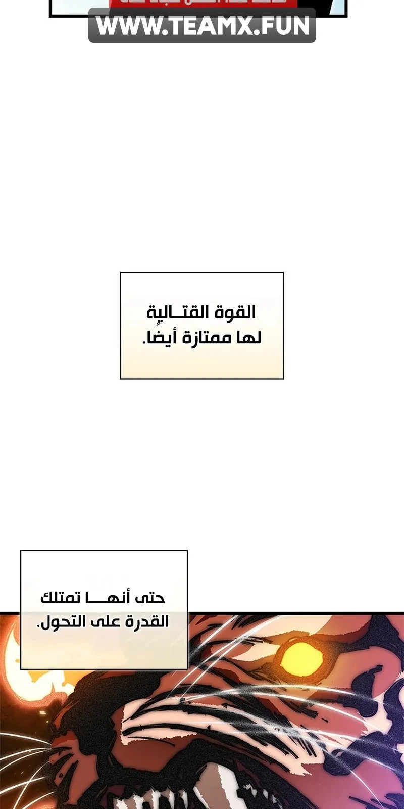 الصفحة 10 من 95