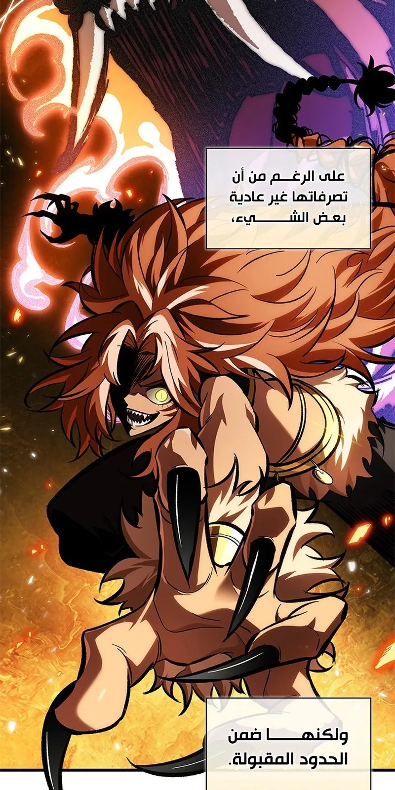 الصفحة 11 من 95
