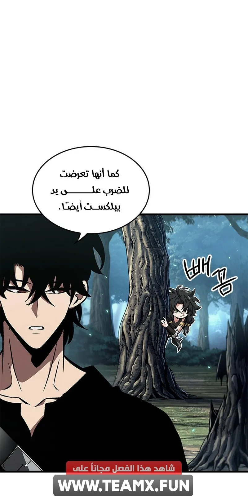 الصفحة 14 من 95