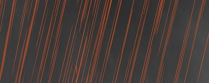 الصفحة 232 من 284