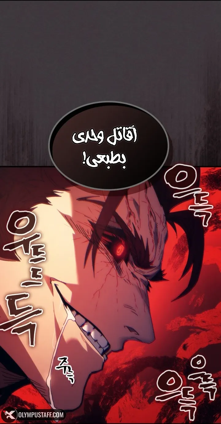 الصفحة 26 من 67