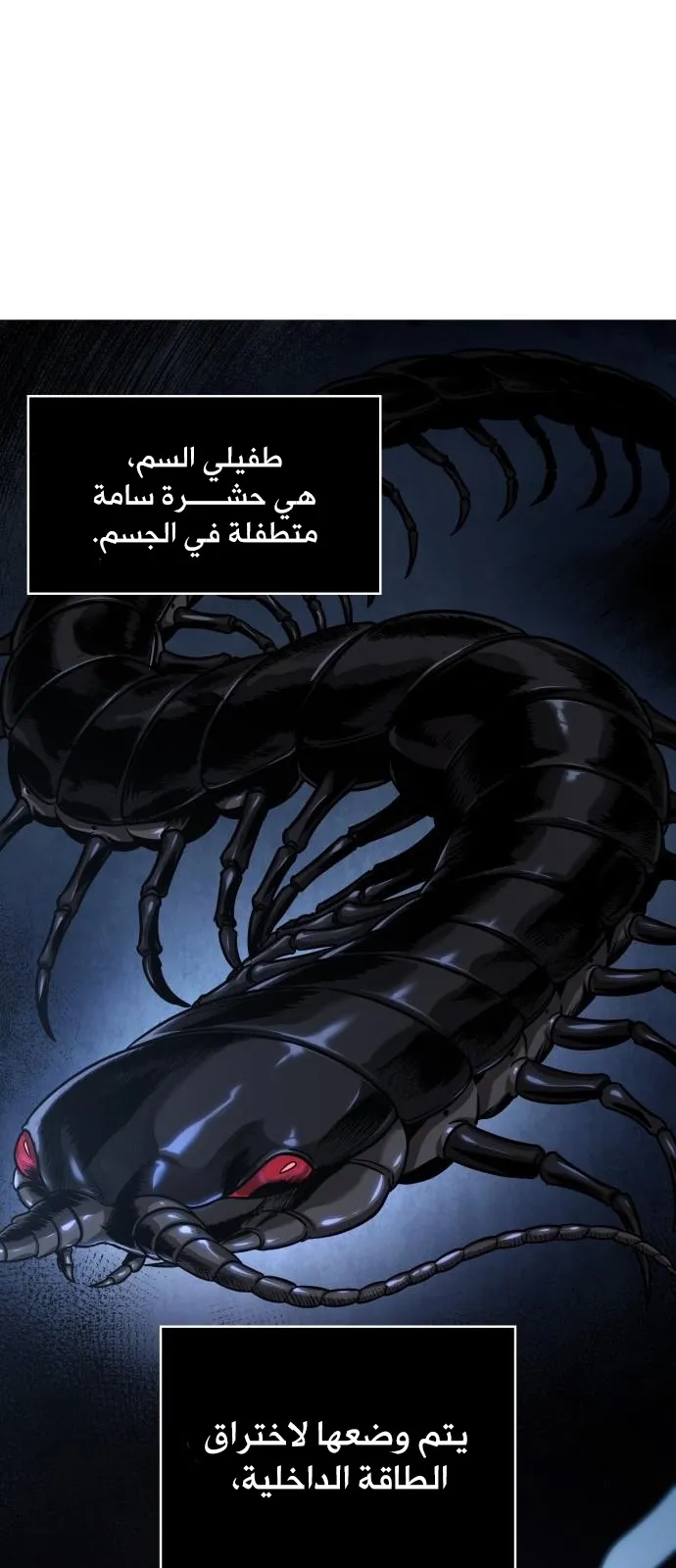 الصفحة 36 من 82