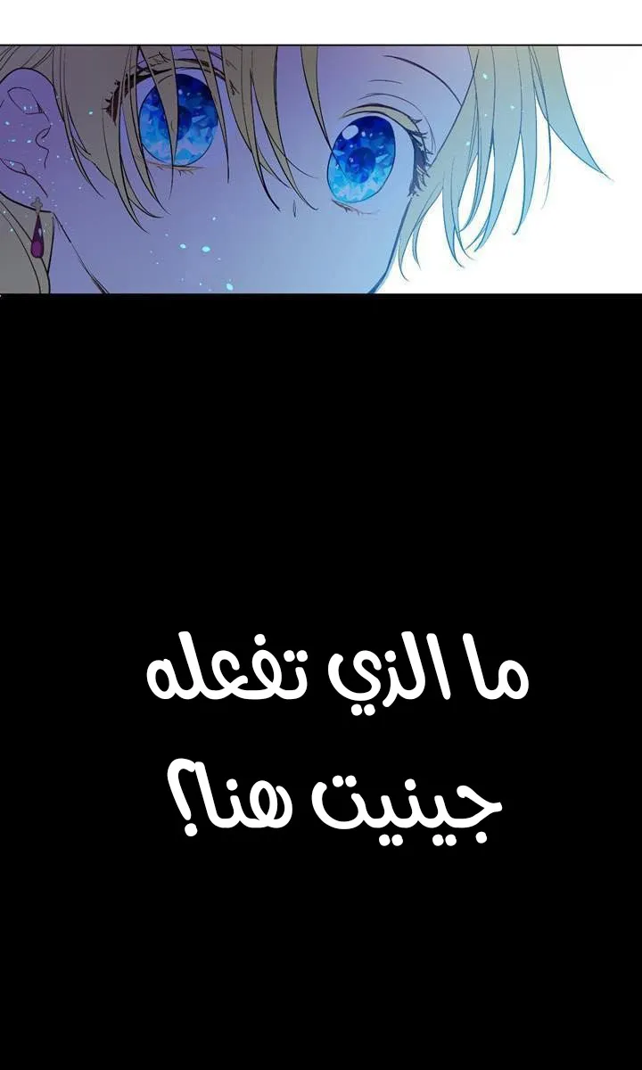 الصفحة 47 من 48