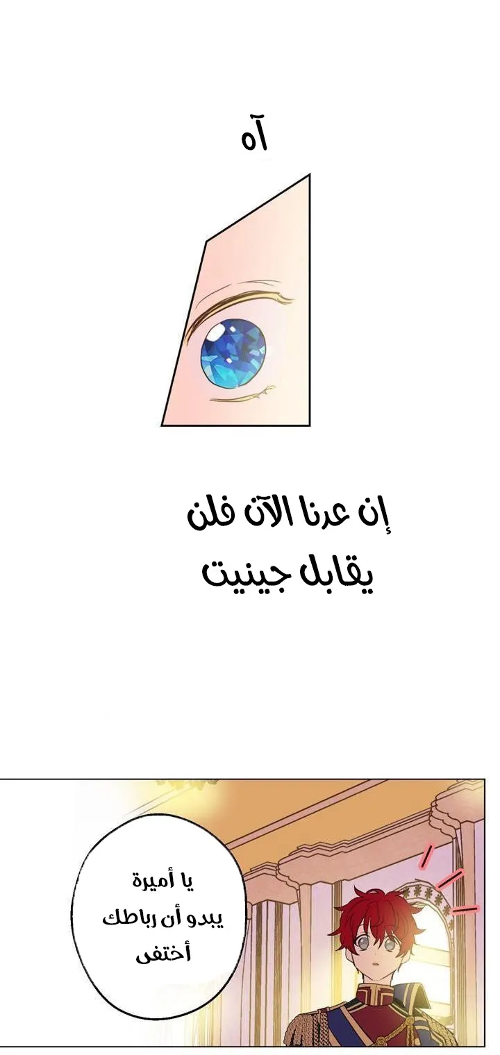 الصفحة 40 من 48