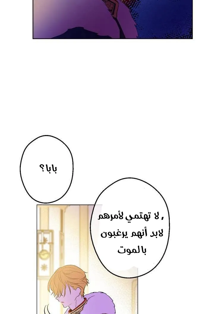 الصفحة 29 من 48