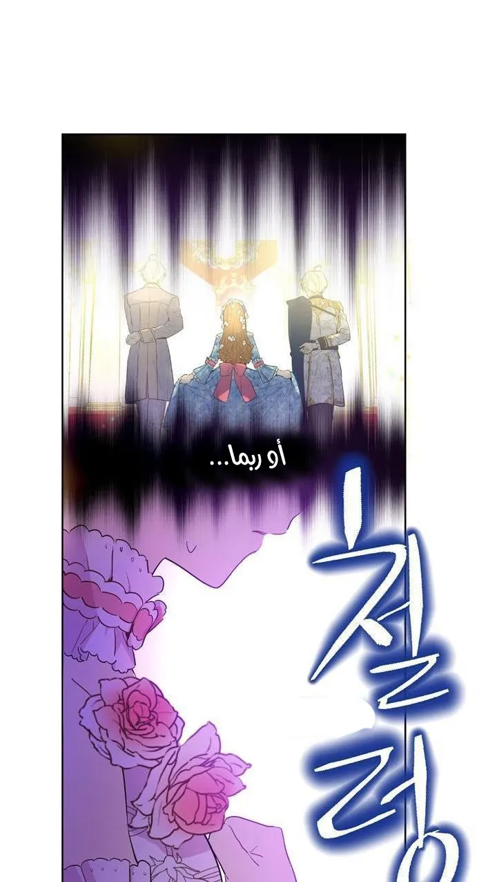 الصفحة 4 من 48