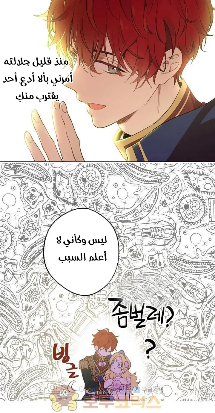 الصفحة 14 من 48