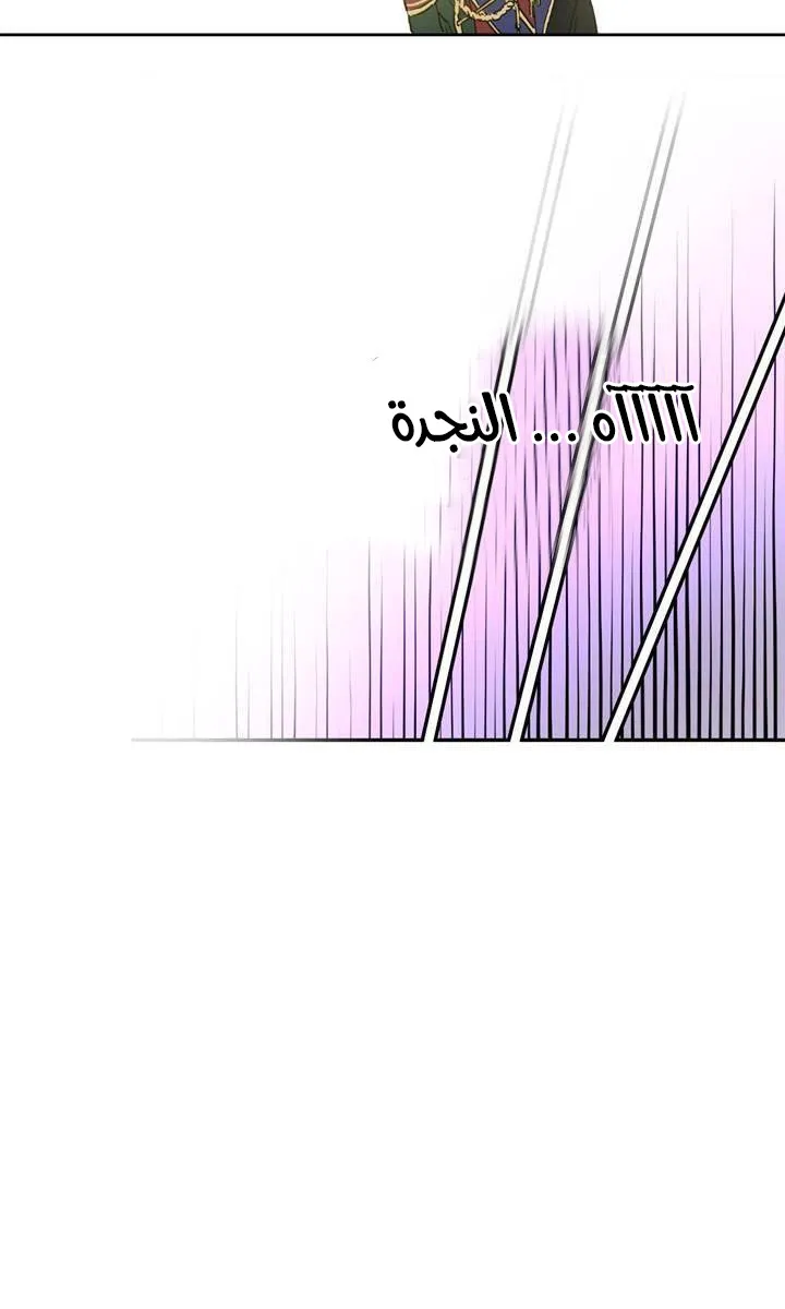 الصفحة 20 من 48