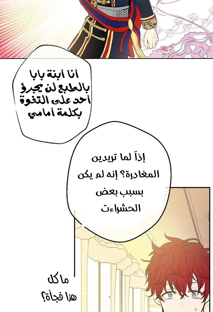 الصفحة 33 من 48