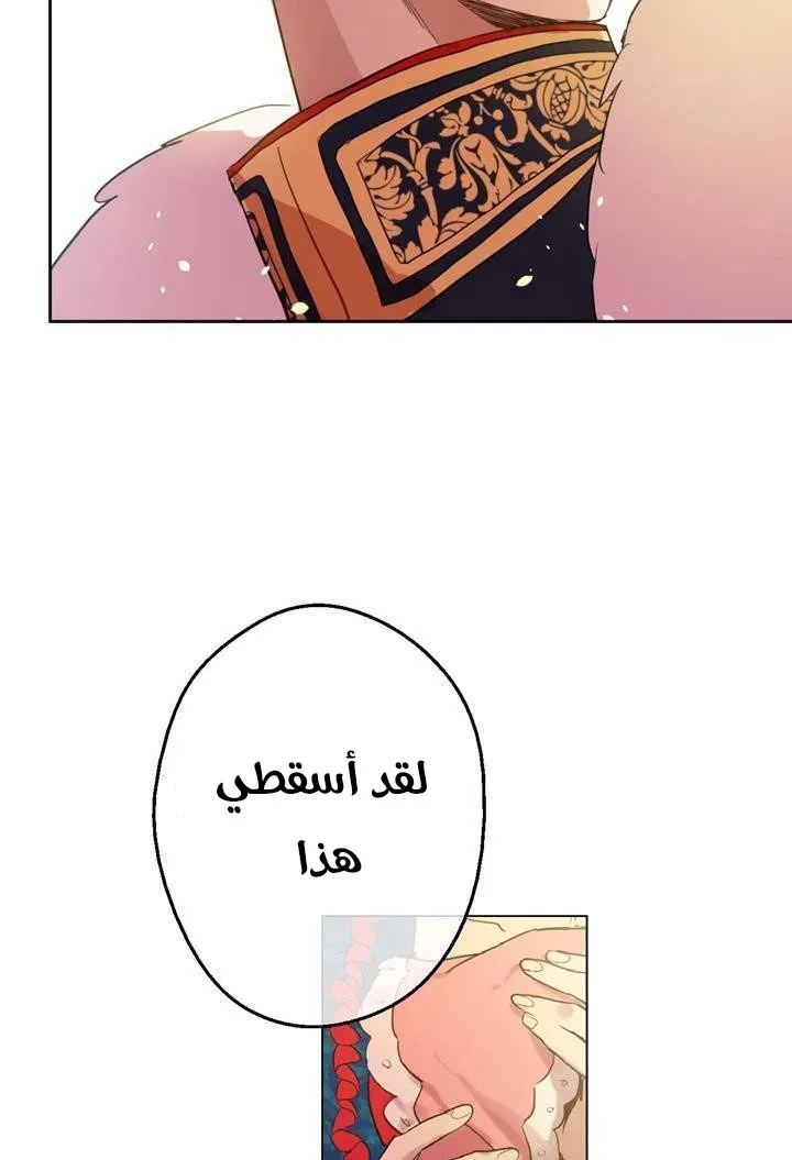 الصفحة 44 من 48