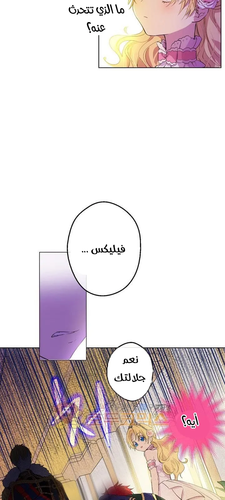 الصفحة 26 من 48