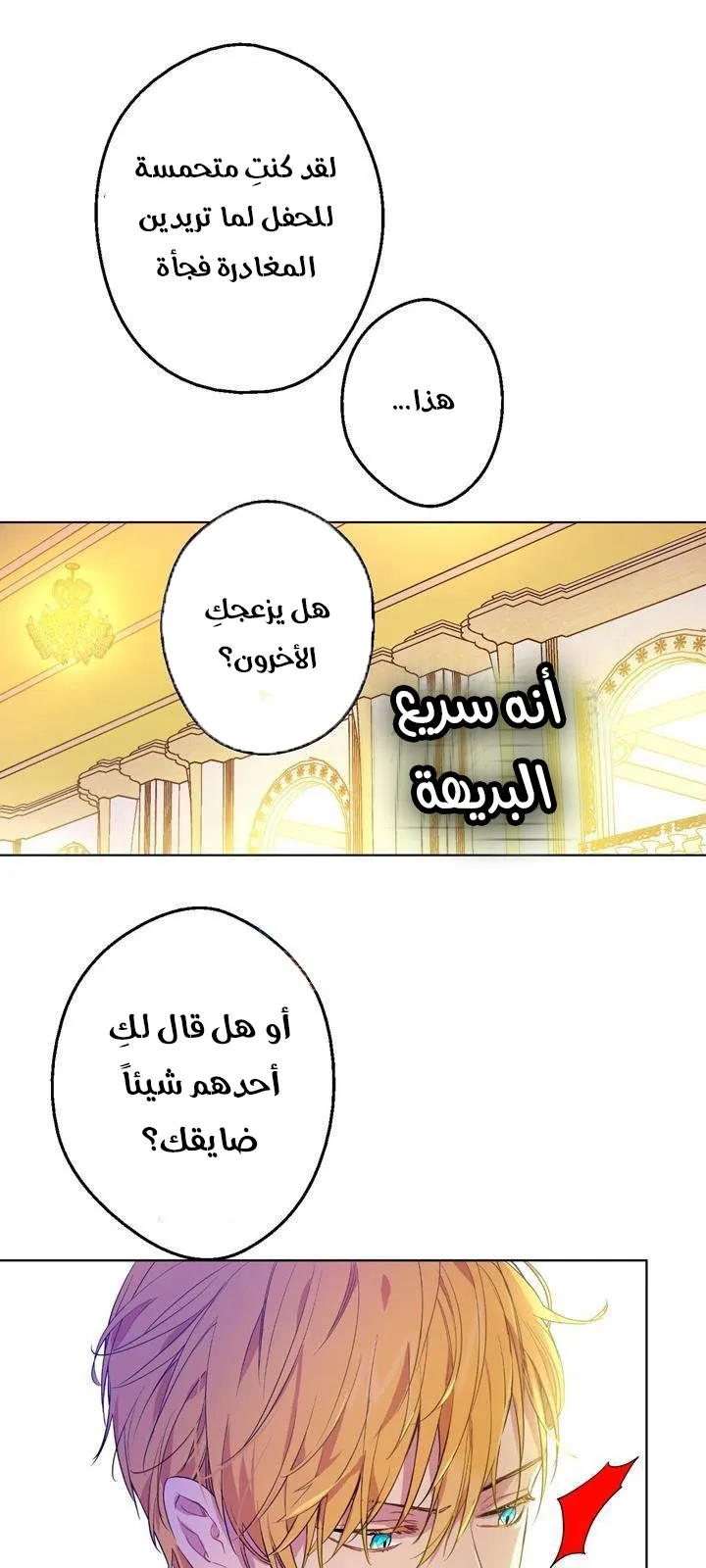 الصفحة 24 من 48