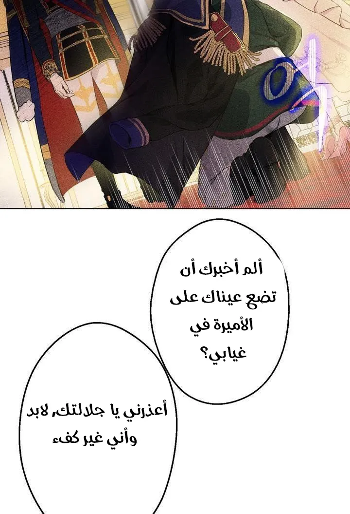 الصفحة 27 من 48
