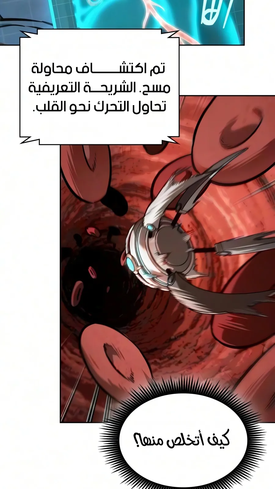 الصفحة 28 من 116