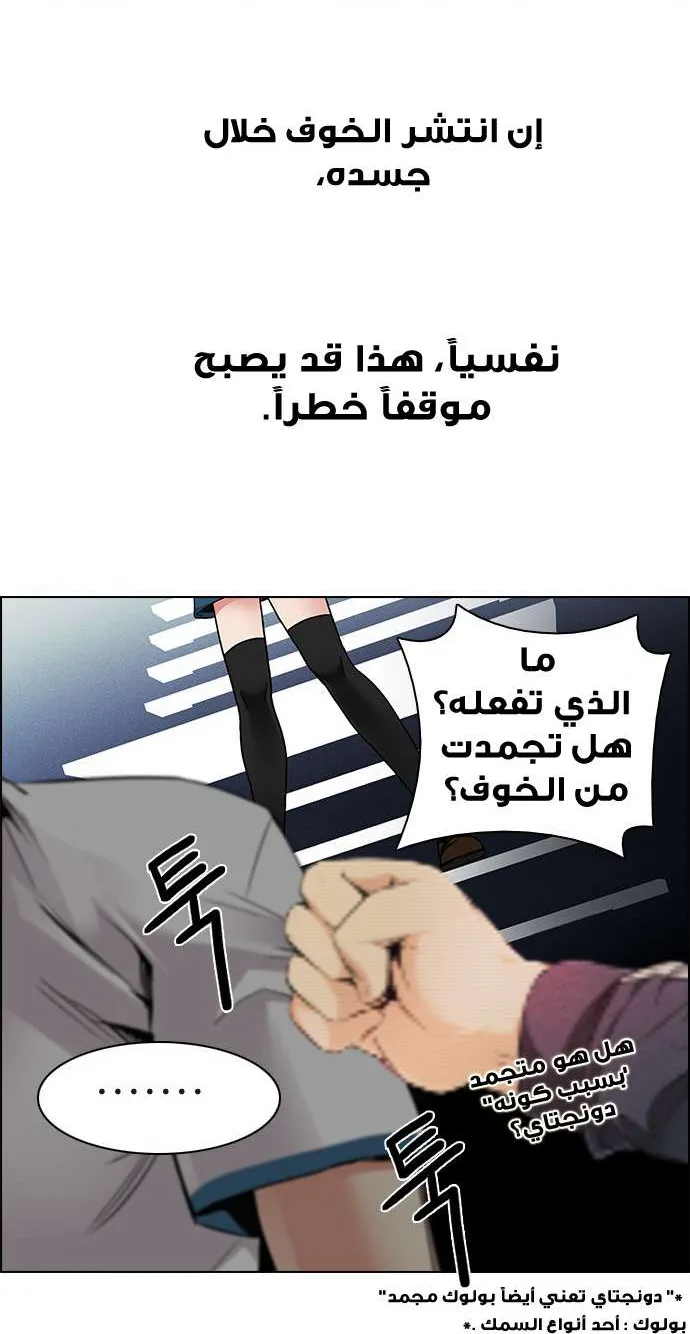 الصفحة 28 من 59