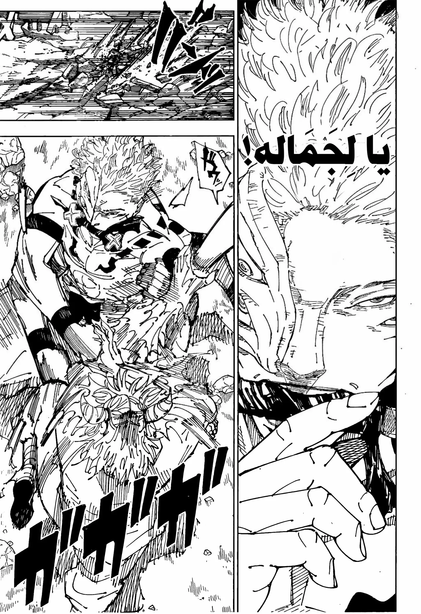 الصفحة 4 من 17