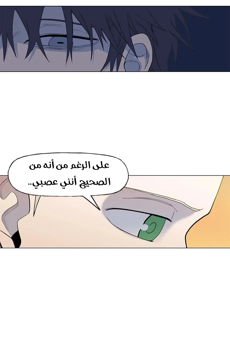 الصفحة 39 من 83