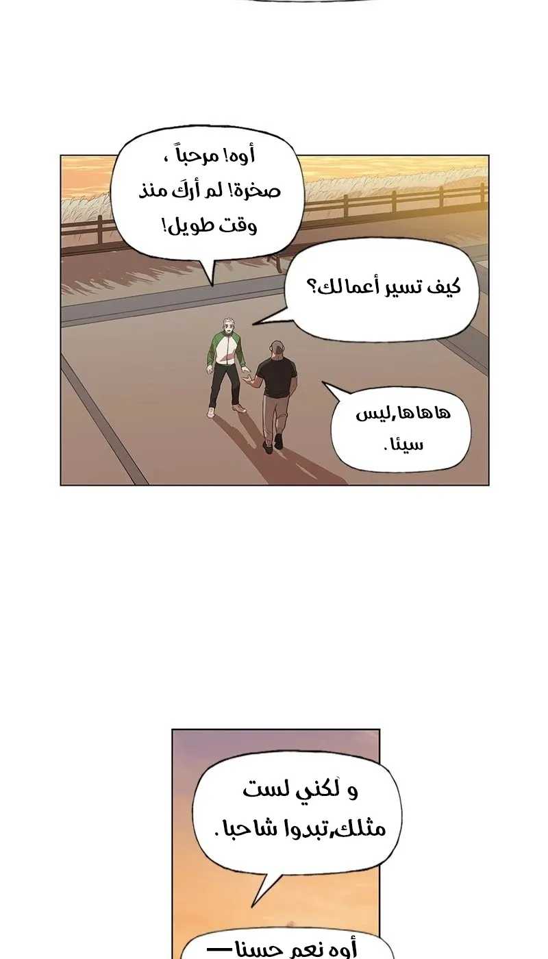 الصفحة 34 من 83