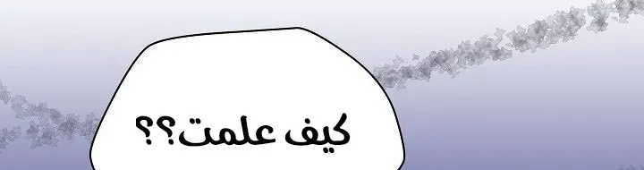 الصفحة 13 من 148