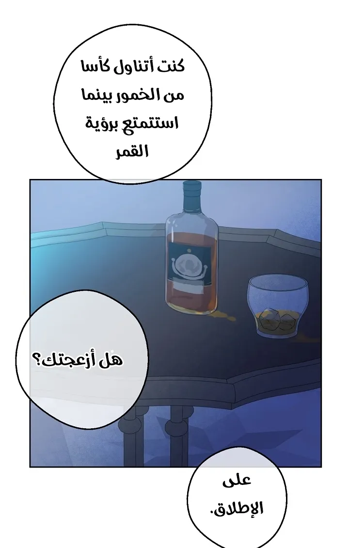 الصفحة 48 من 64