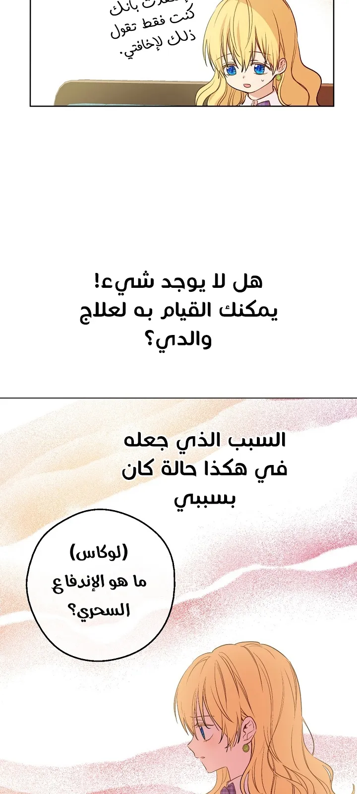 الصفحة 17 من 64
