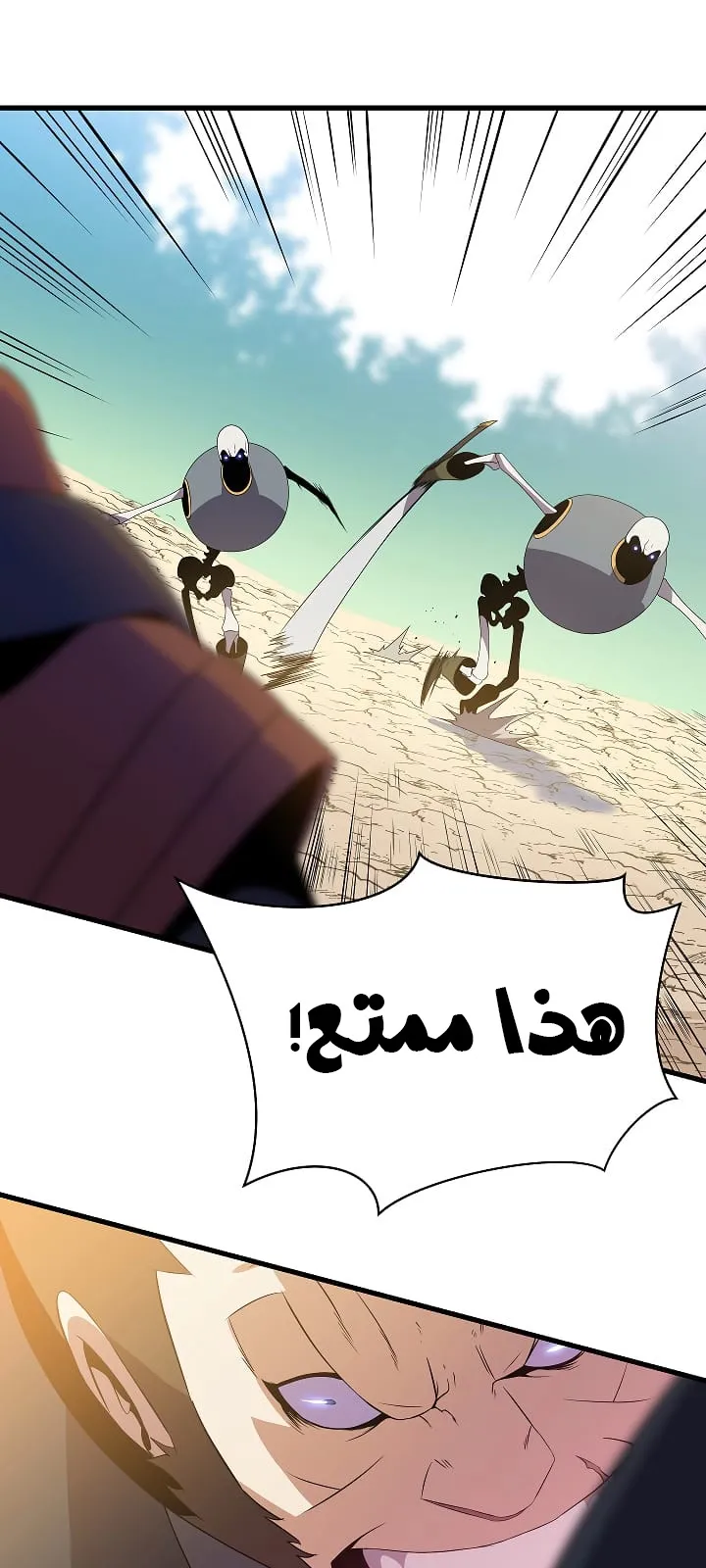 الصفحة 81 من 95