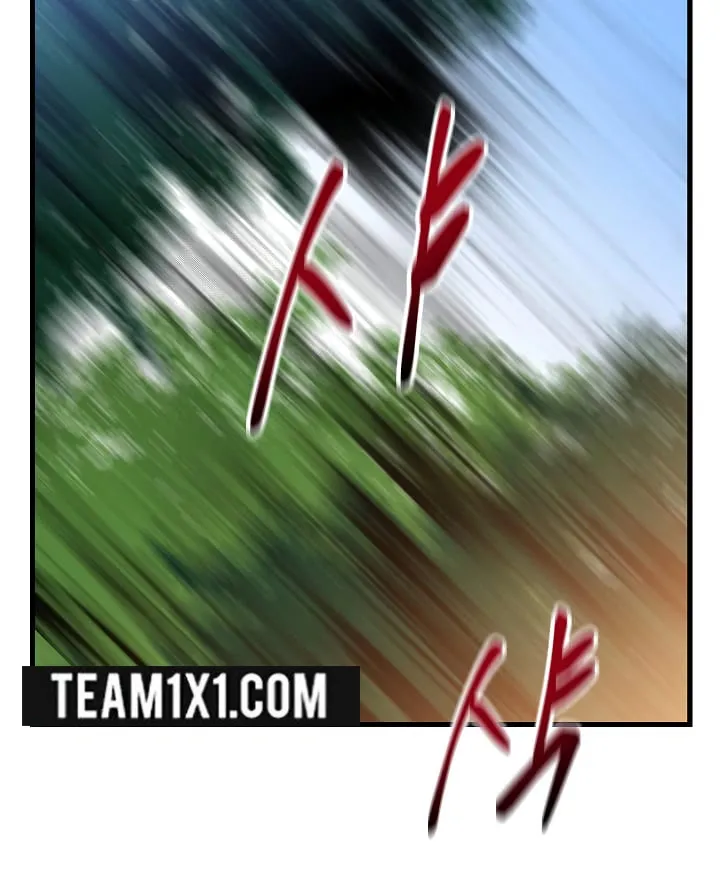 الصفحة 17 من 95