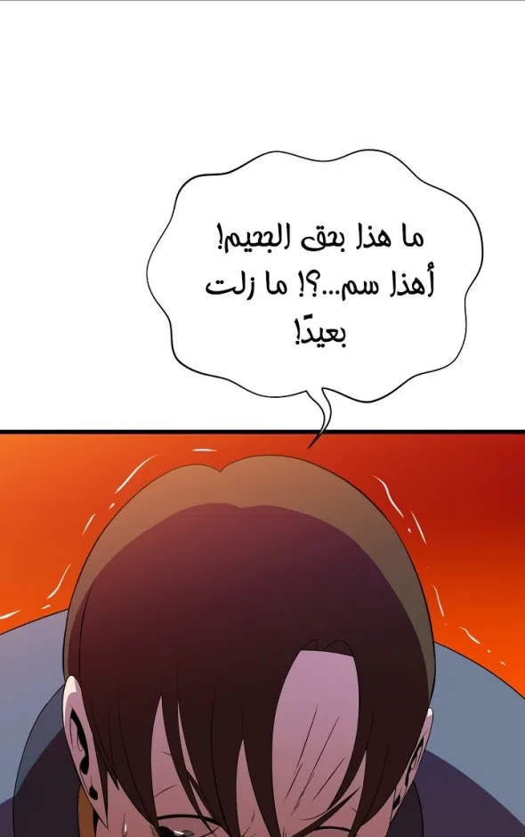 الصفحة 24 من 86