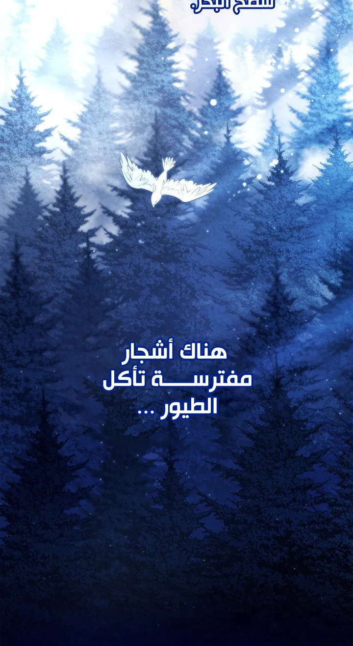 الصفحة 81 من 112