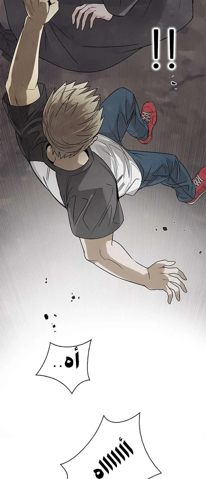 الصفحة 29 من 46