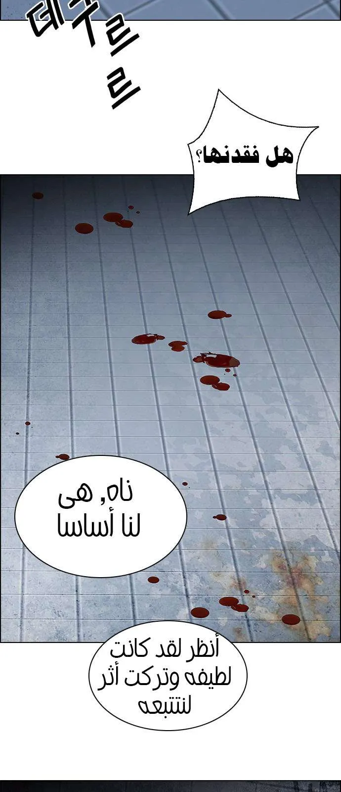 الصفحة 41 من 46