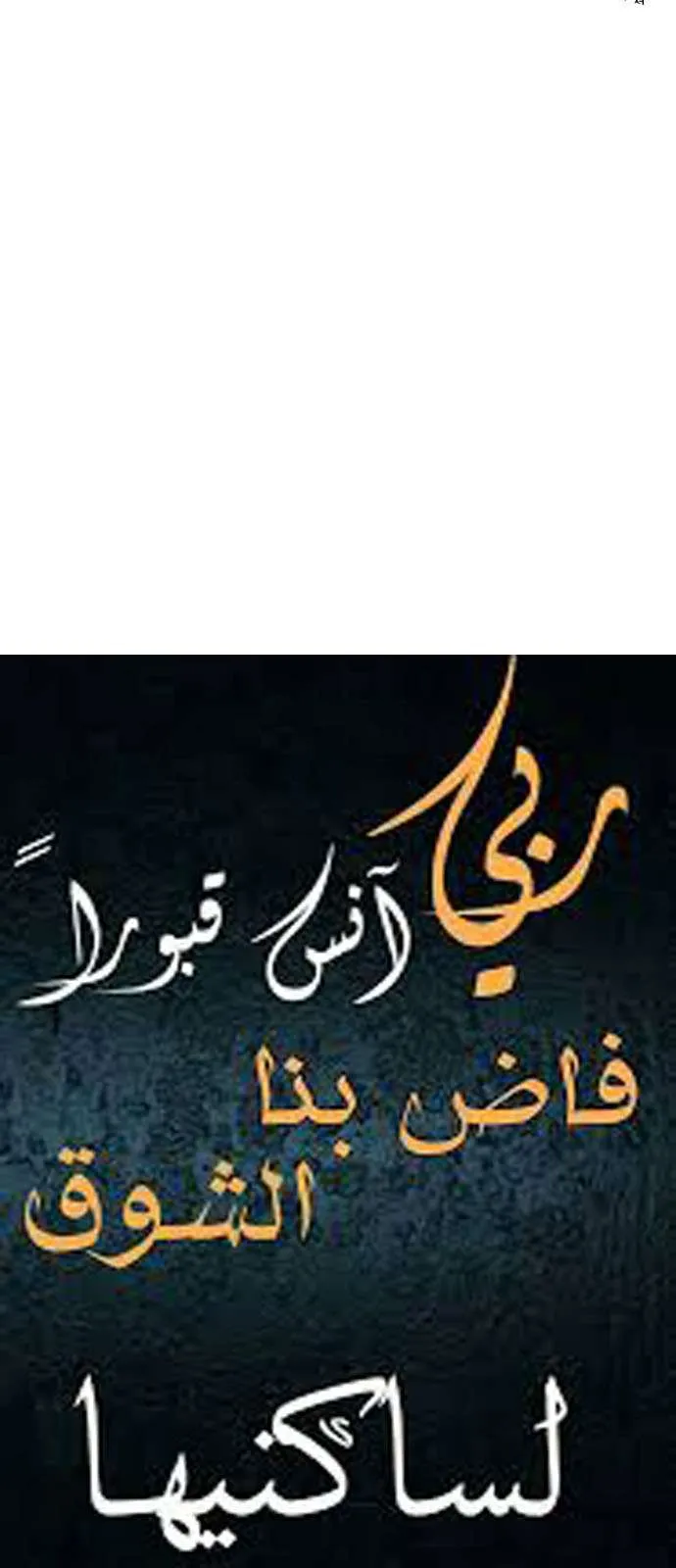 الصفحة 46 من 46