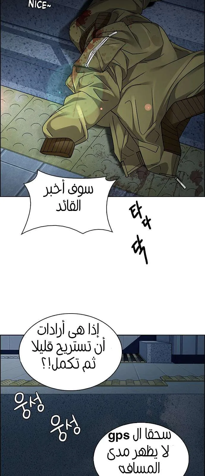 الصفحة 43 من 46