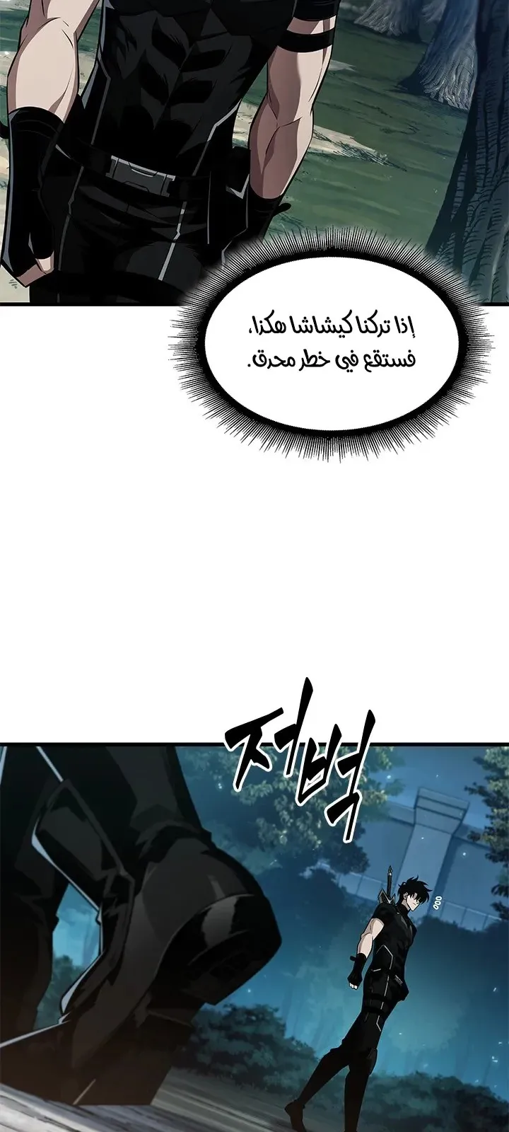 الصفحة 17 من 81