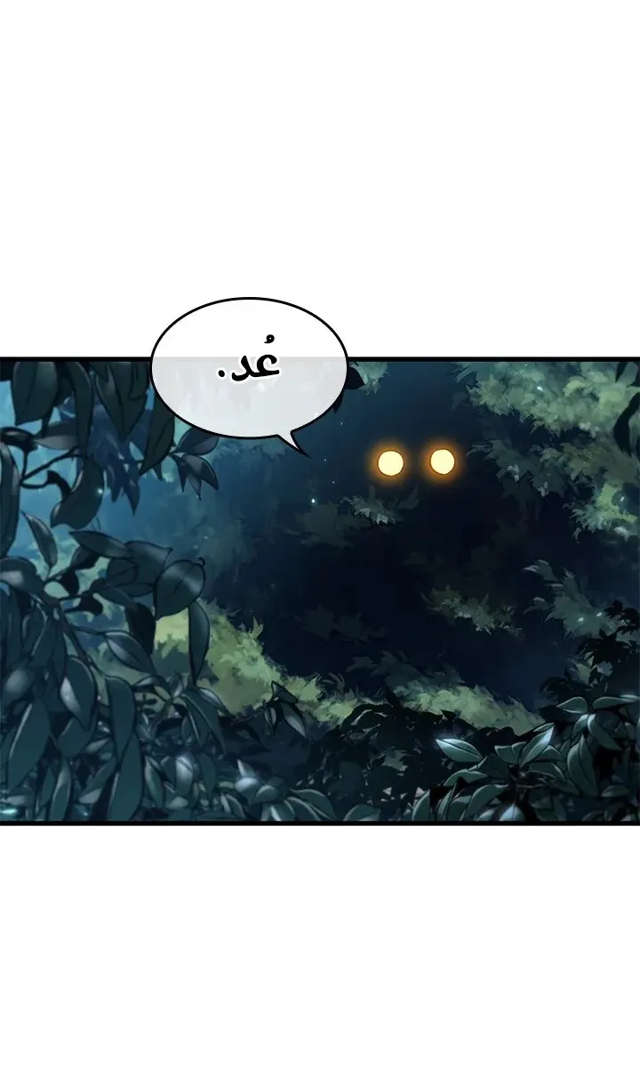 الصفحة 42 من 81