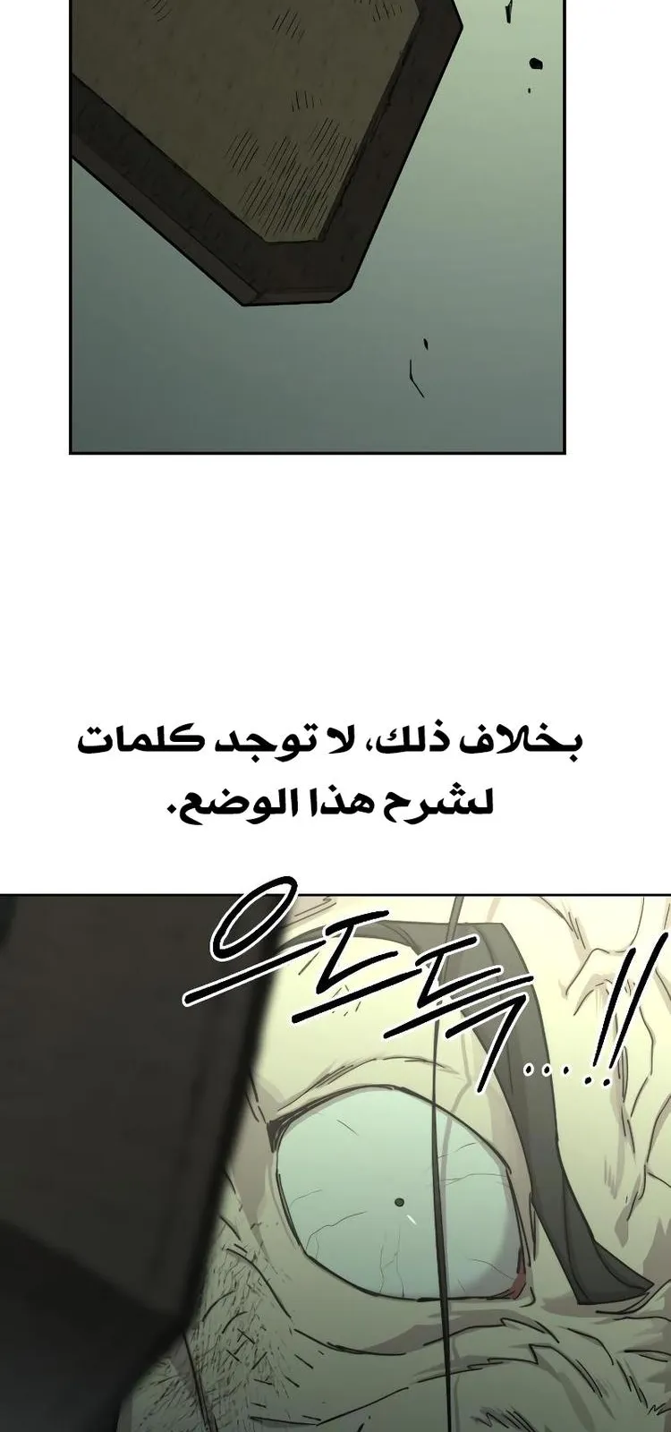 الصفحة 11 من 119