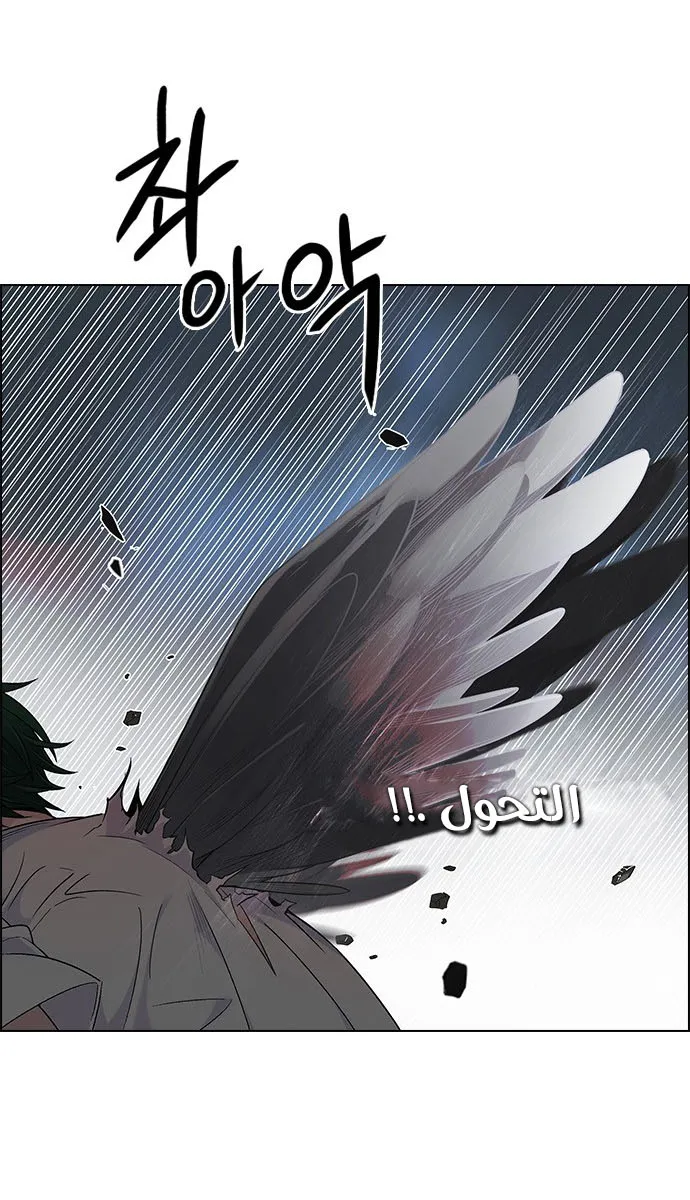 الصفحة 13 من 51