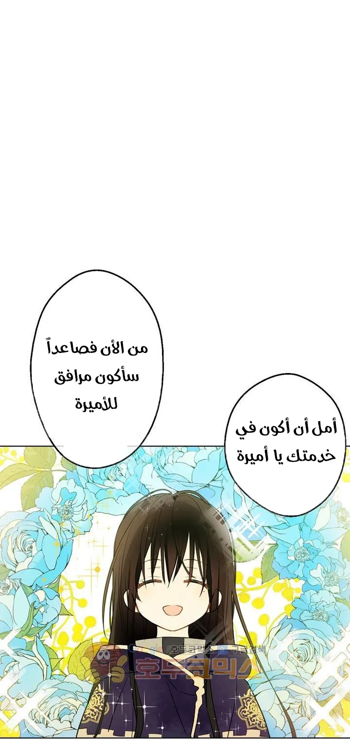 الصفحة 31 من 76