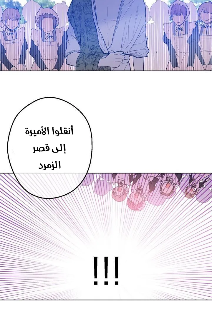 الصفحة 22 من 76