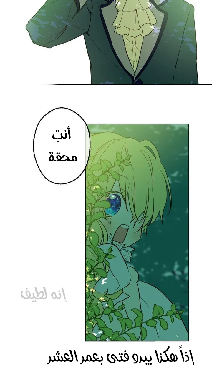 الصفحة 71 من 76