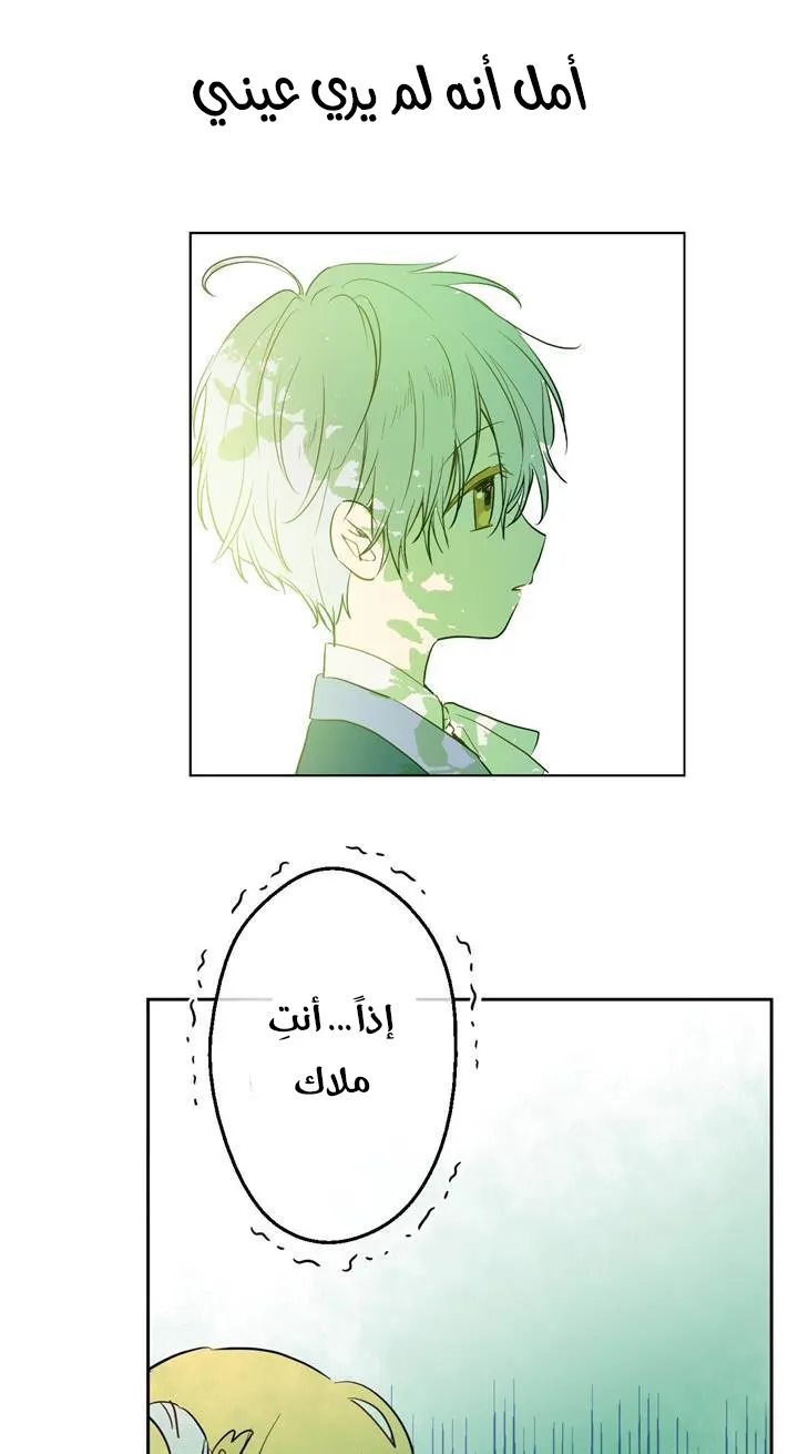الصفحة 68 من 76