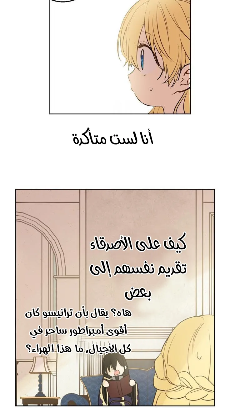 الصفحة 41 من 76
