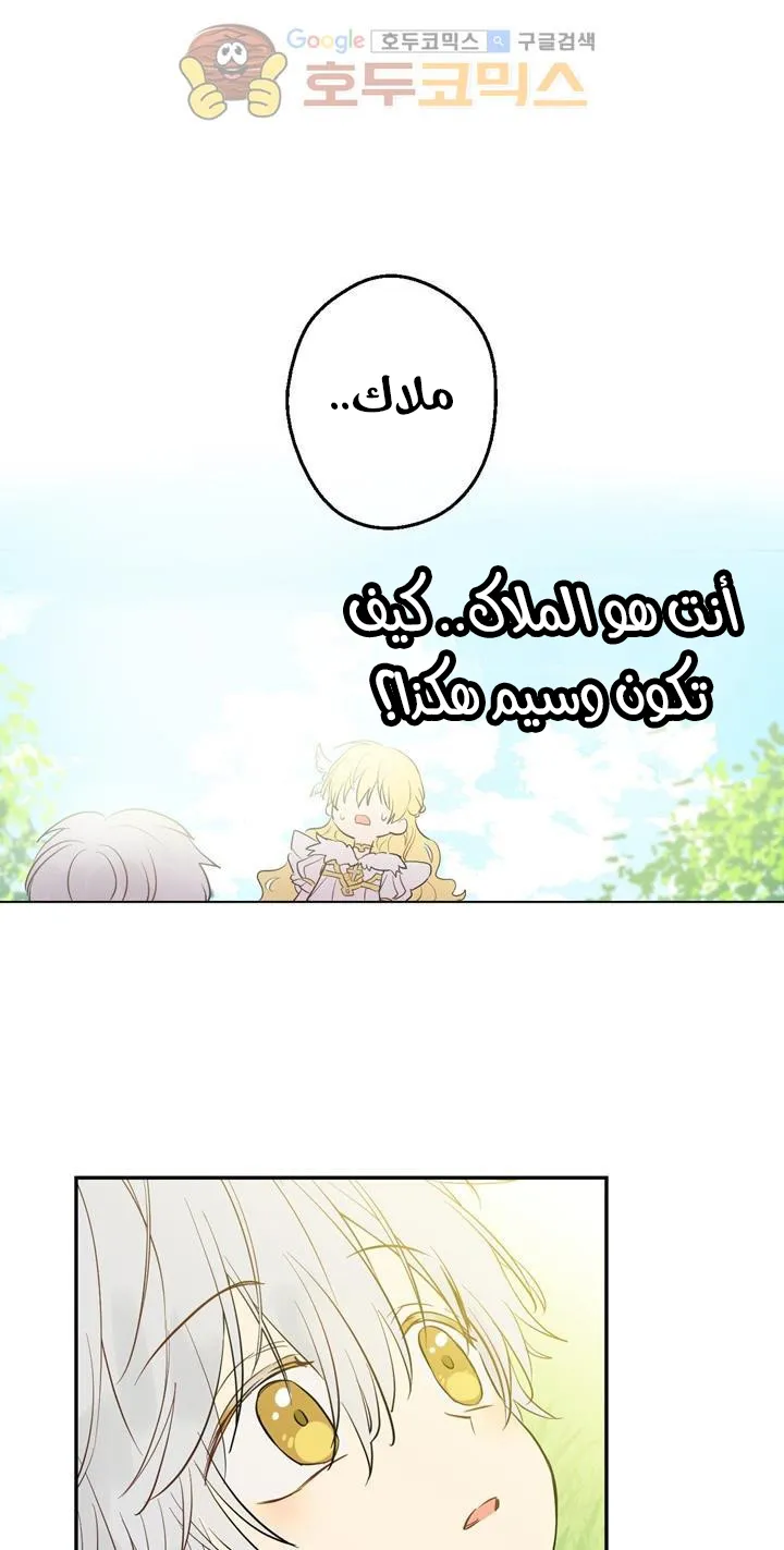 الصفحة 54 من 76