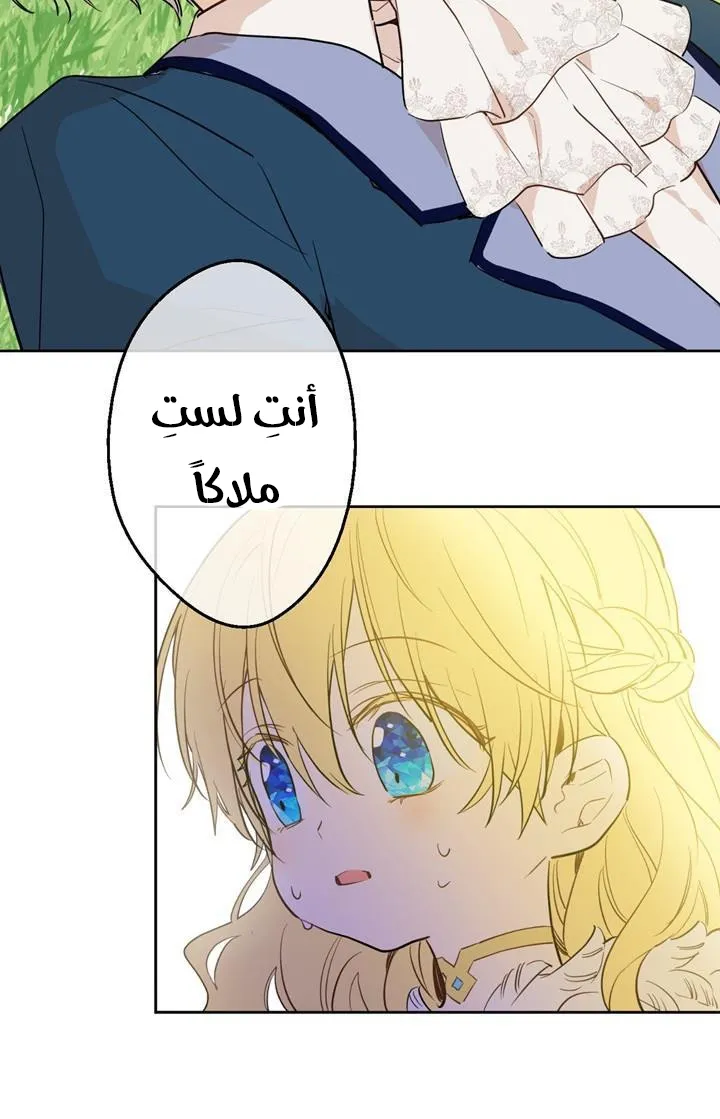 الصفحة 56 من 76