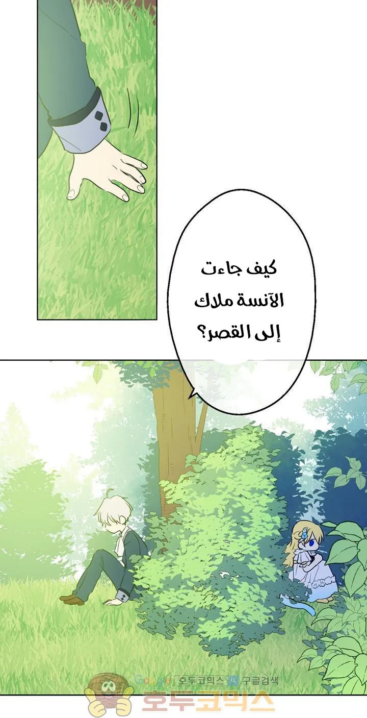 الصفحة 73 من 76