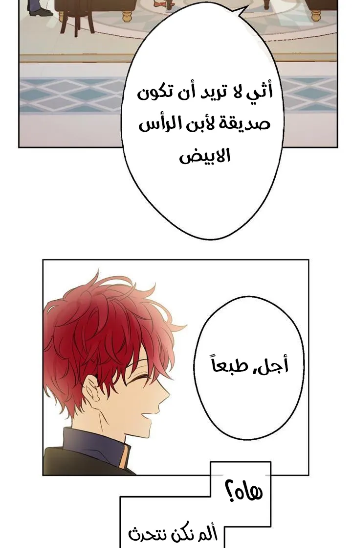 الصفحة 28 من 76